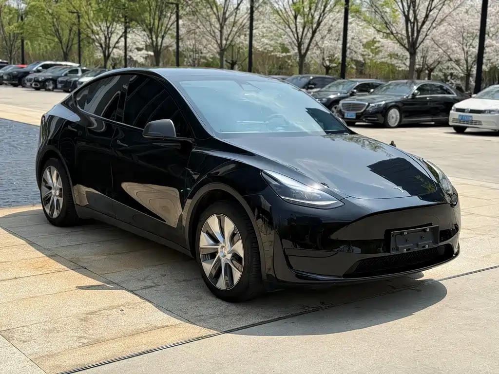 Tesla Model Y 2023 — фото 3