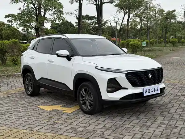 Baojun RS-3 2020