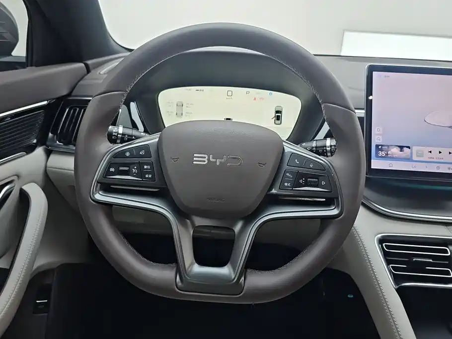 BYD Song PLUS New Energy 2025 — фото 15