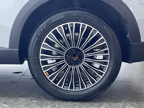 Chery Fengyun T9 2024