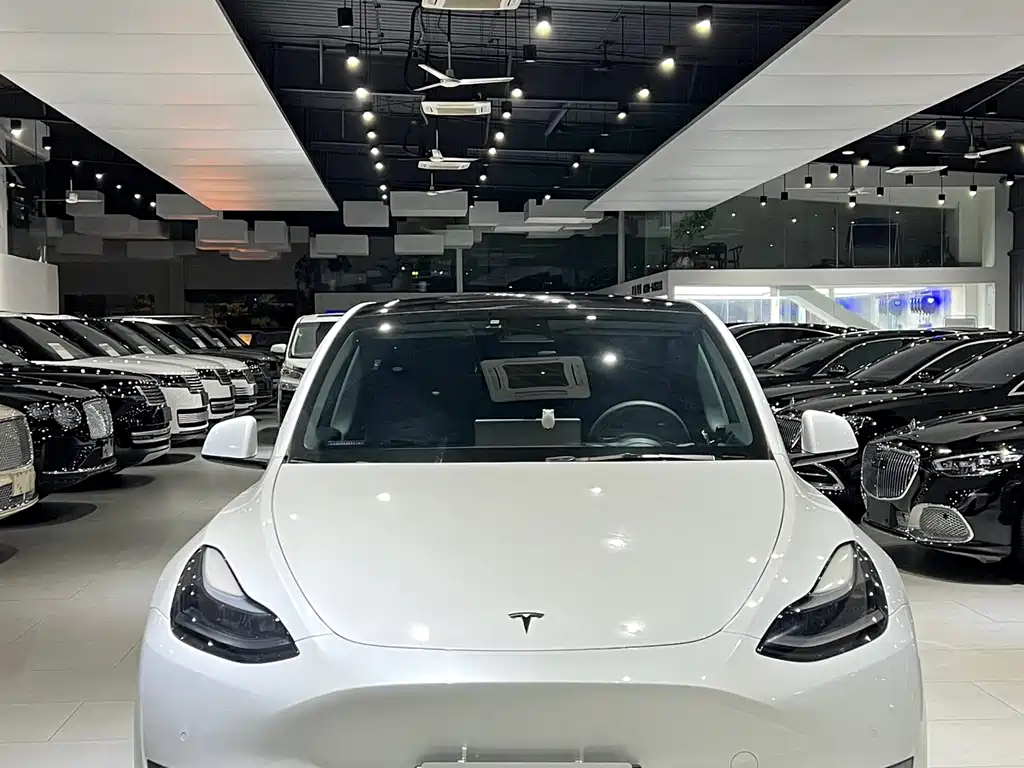 Tesla Model Y 2021 — фото 3