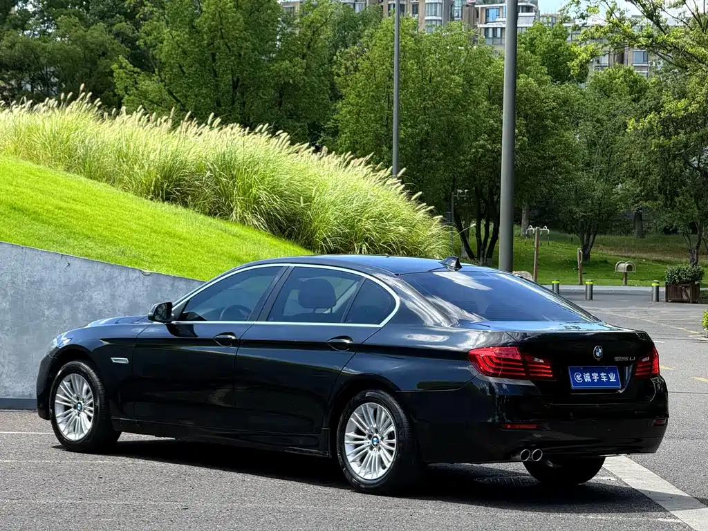 BMW 5 Series 2016 — фото 17
