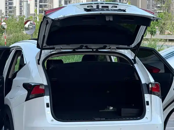 Lexus NX 2015
