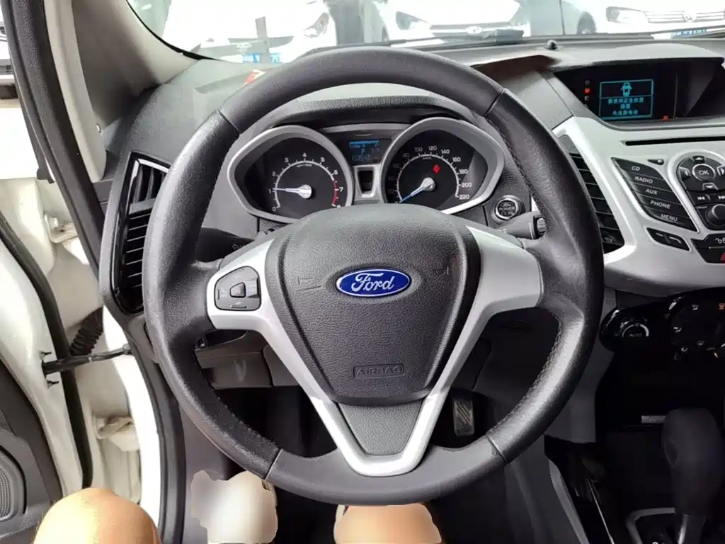 Ford Ecosport 2016 — фото 11