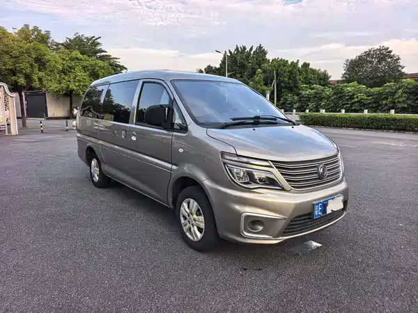 Dongfeng Lingzhi 2020