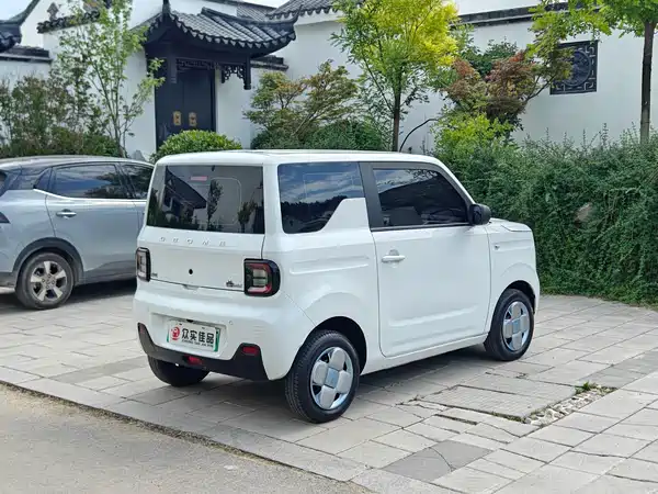 Geely Galaxy Panda 2023