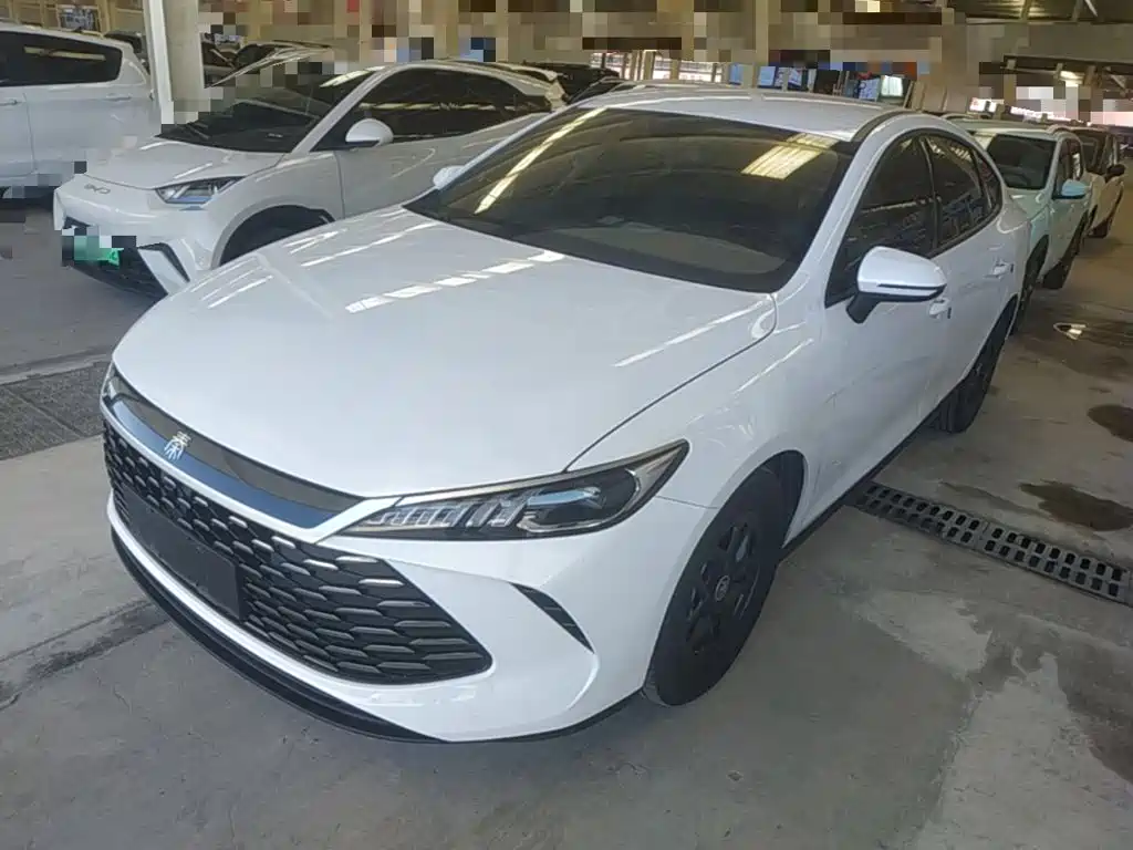 BYD Qin PLUS 2025 — фото 1