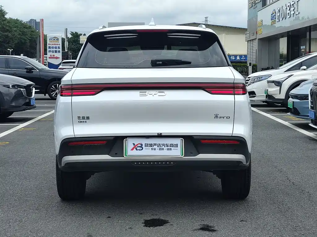 BYD Pro New Energy 2025 — фото 3