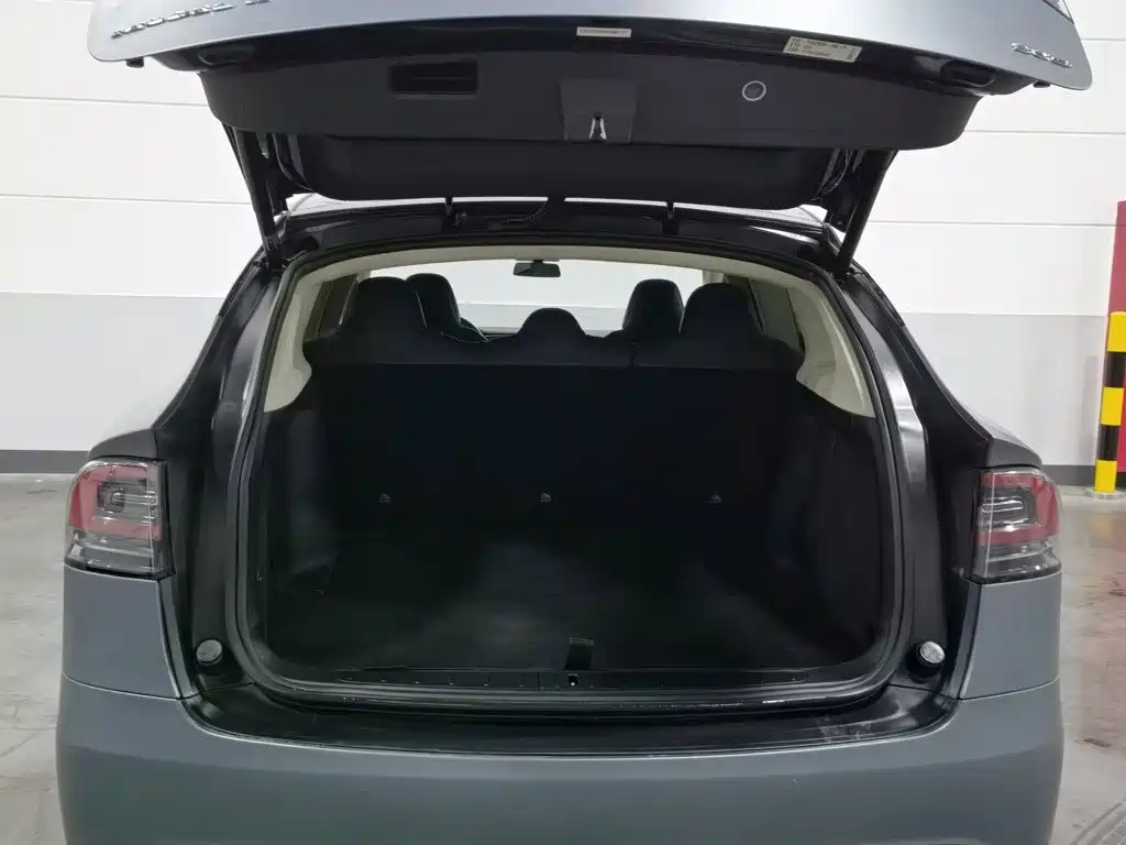 Tesla Model X 2017 — фото 16