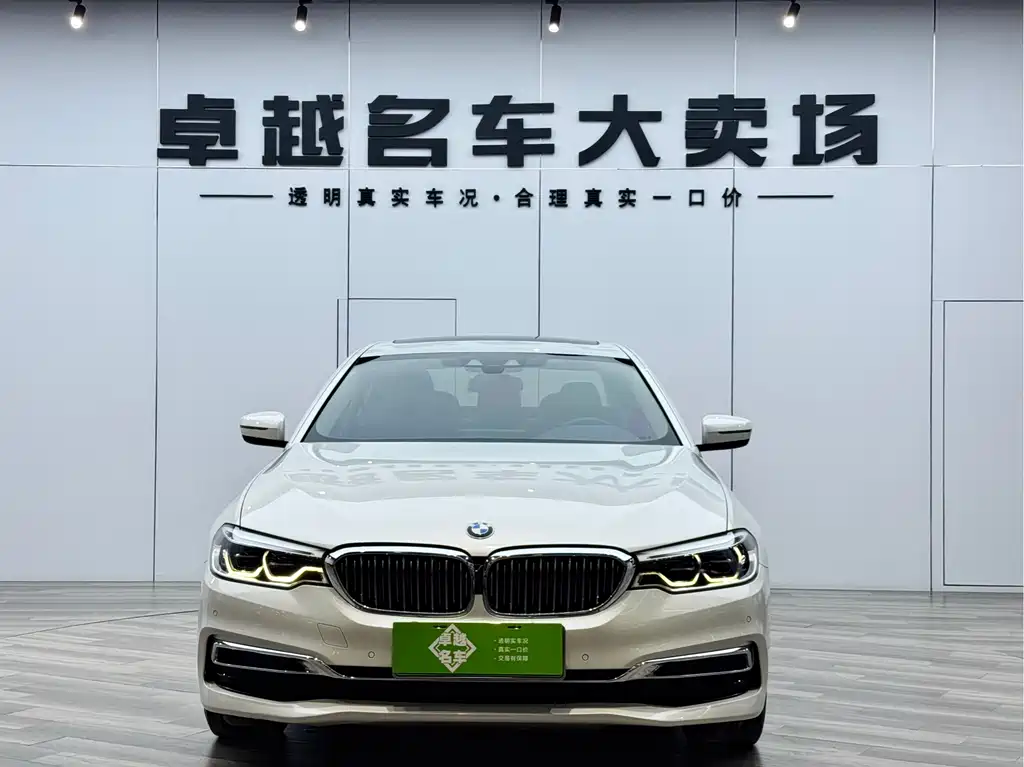 BMW 5 Series New Energy 2020 — фото 2