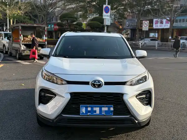 Toyota Wildlander 2021