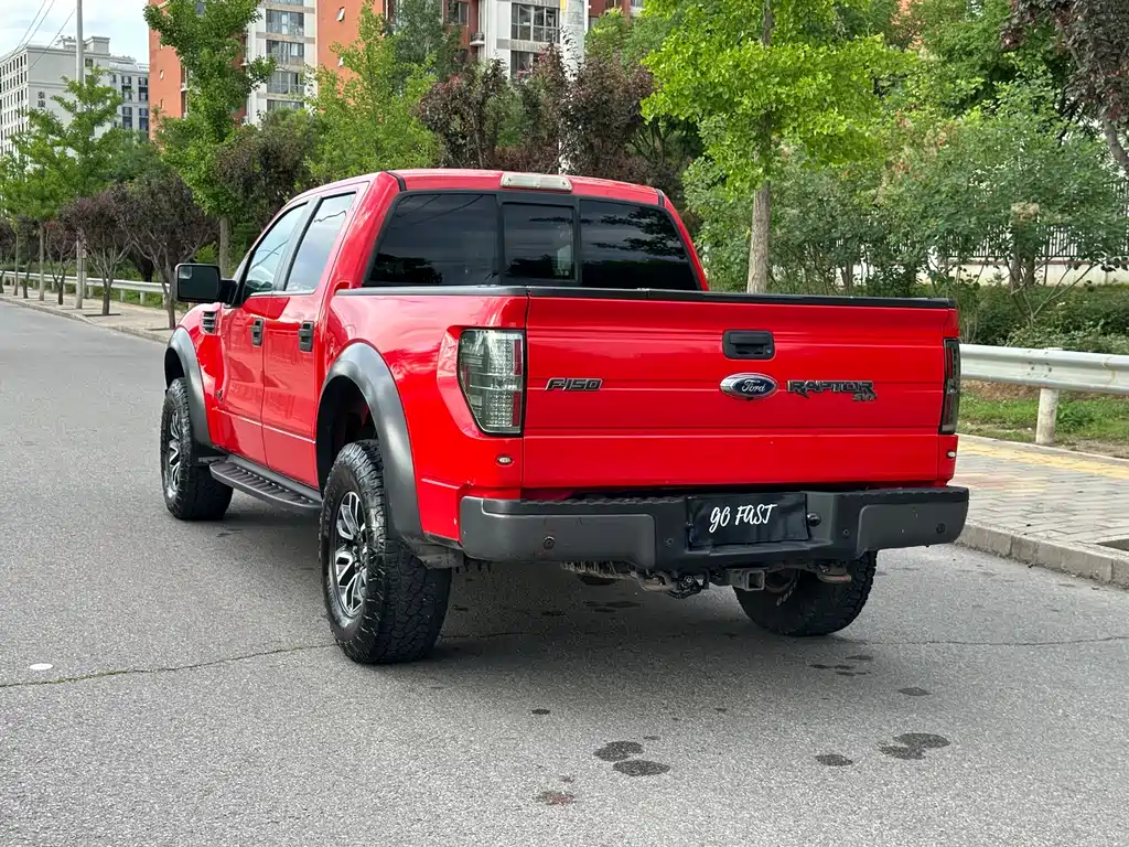 Ford F-150 Raptor 2015 — фото 6