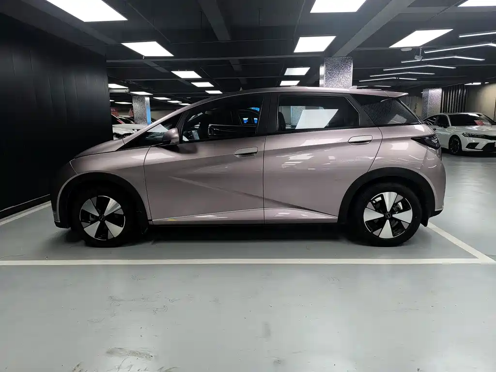 BYD Dolphin 2023 — фото 19