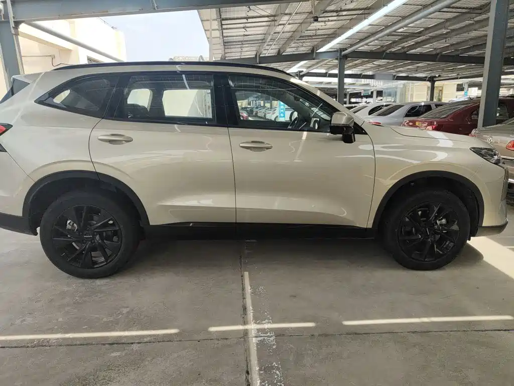 Haval H6 2024 — фото 11