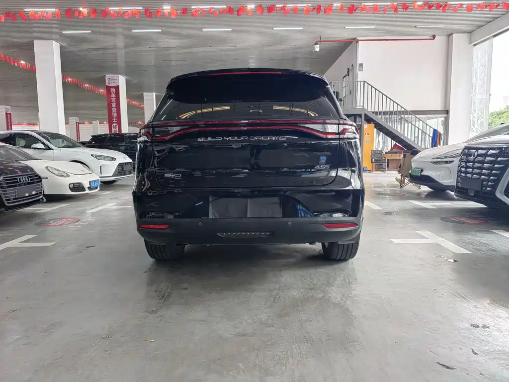 BYD Tang New Energy 2020 — фото 20