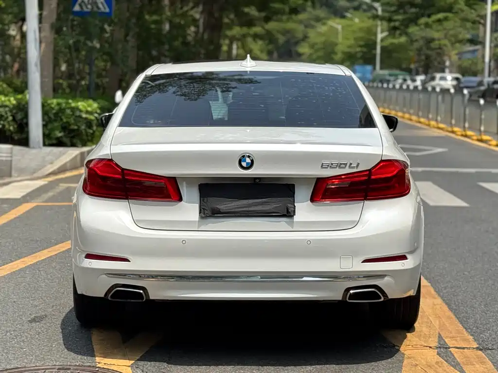 BMW 5 Series 2019 — фото 19