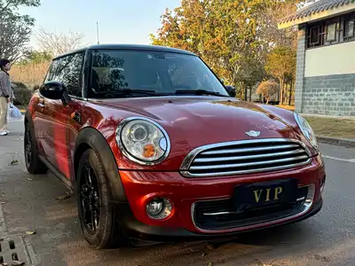 MINI MINI 2011