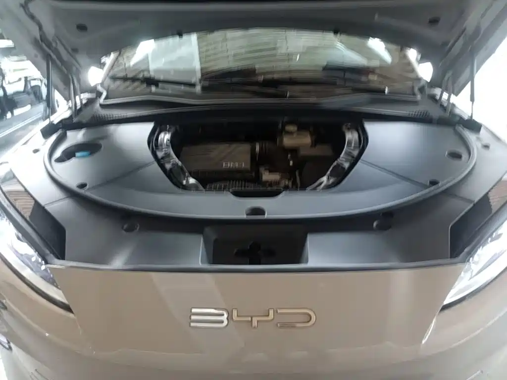 BYD PLUS New Energy 2023 — фото 20