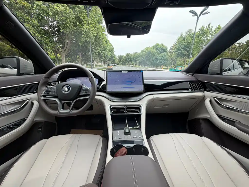 BYD PLUS New Energy 2025 — фото 4