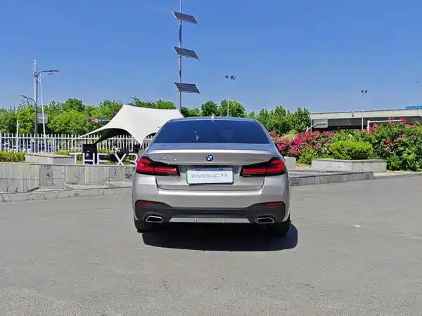 BMW 5 Series New Energy 2021