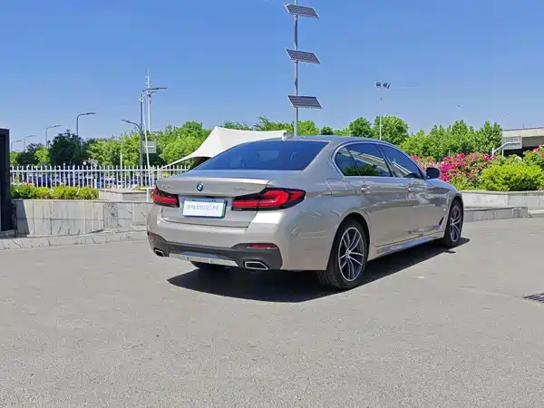 BMW 5 Series New Energy 2021