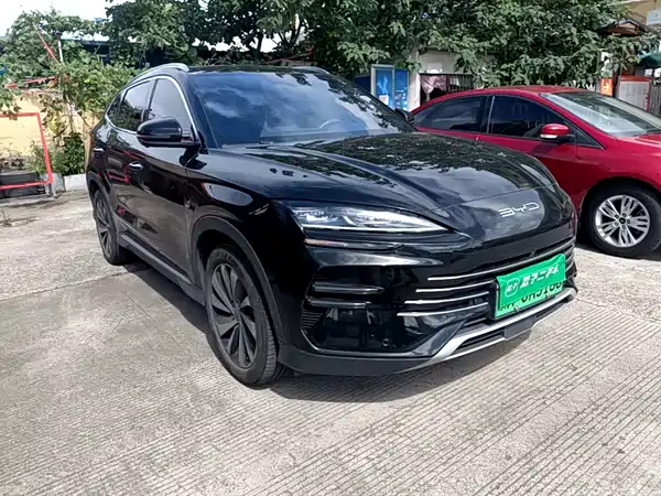 BYD Song PLUS New Energy 2024