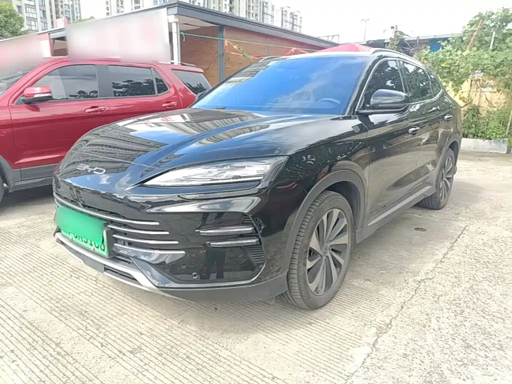 BYD Song PLUS New Energy 2024 — фото 1