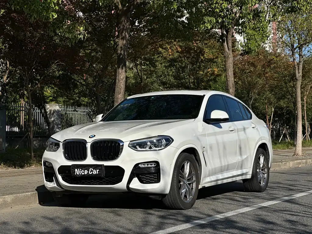 BMW X4 2019 — фото 1