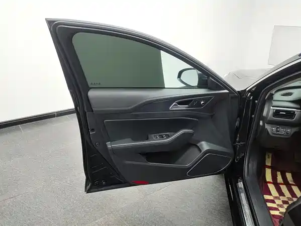 Hongqi H5 2020