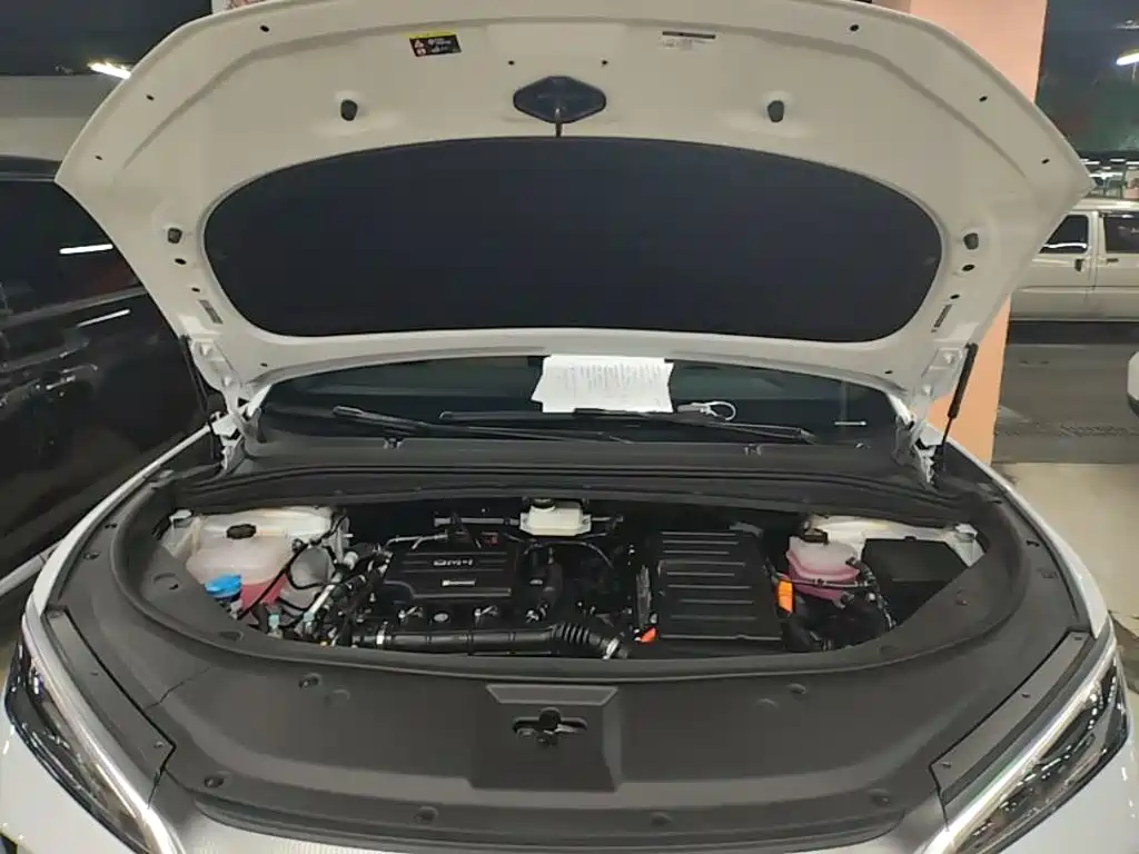 BYD L DM-i 2024 — фото 20