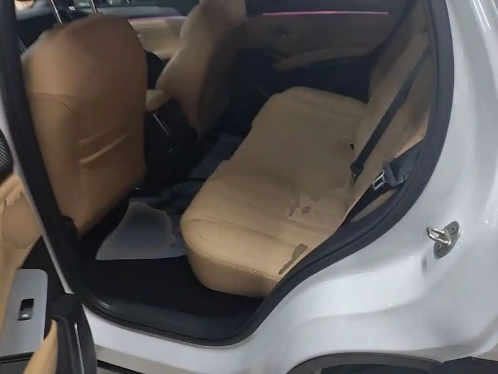 BYD L DM-i 2024 — фото 17