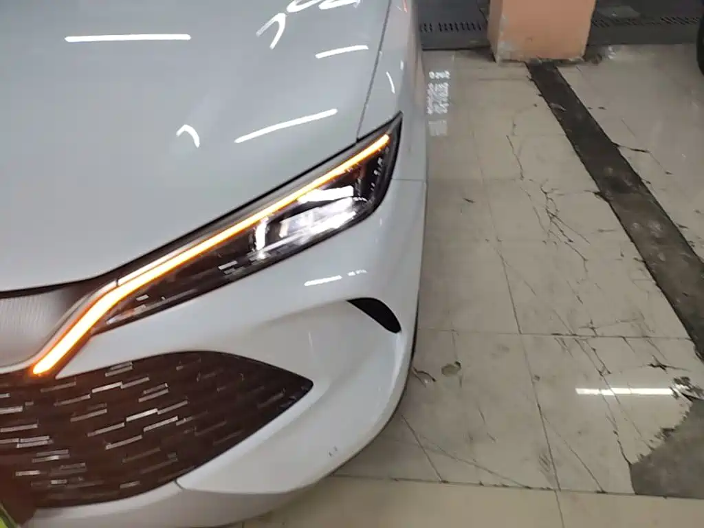 BYD L DM-i 2024 — фото 24