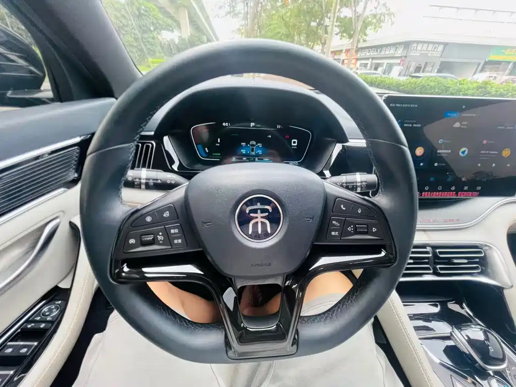 BYD PLUS New Energy 2023 — фото 12
