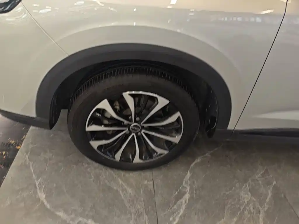 Roewe RX5 MAX 2021 — фото 23