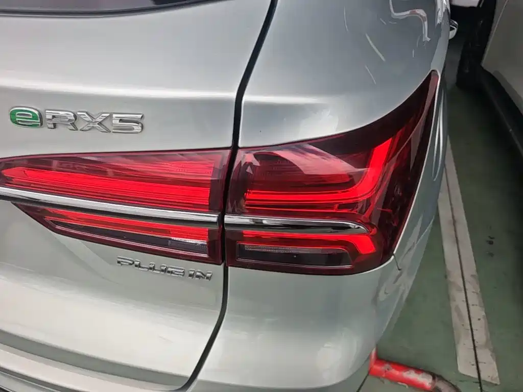 Roewe RX5 New Energy 2020 — фото 8