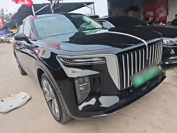 Hongqi E-HS9 2023