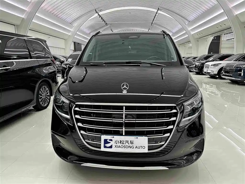 Mercedes-Benz V-Class 2024 — фото 2