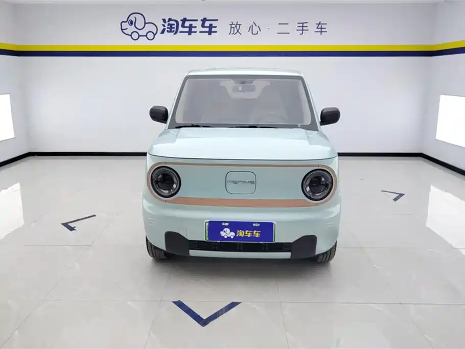 Galaxy Panda 2024