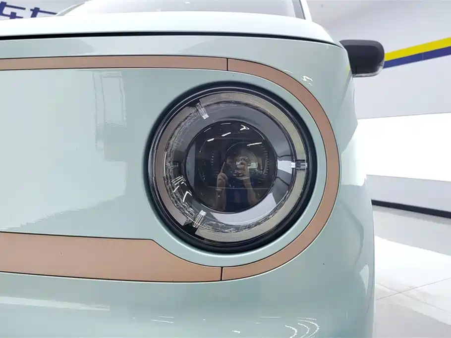 Galaxy Panda 2024