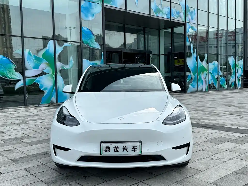 Tesla Model Y 2023 — фото 2
