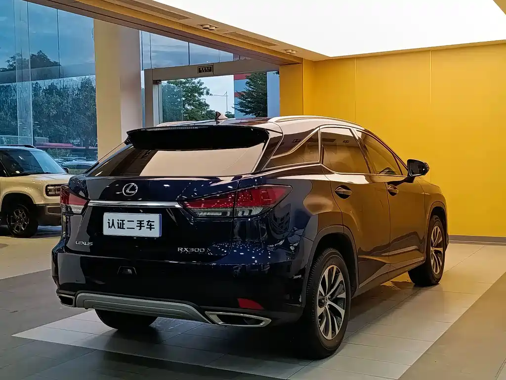 Lexus RX 2022 — фото 30