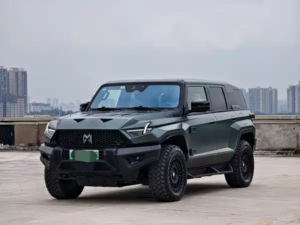 Mengshi 917 2024