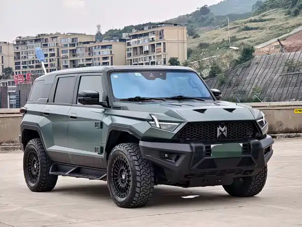 Mengshi 917 2024