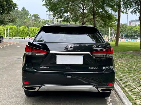 Lexus RX 2020
