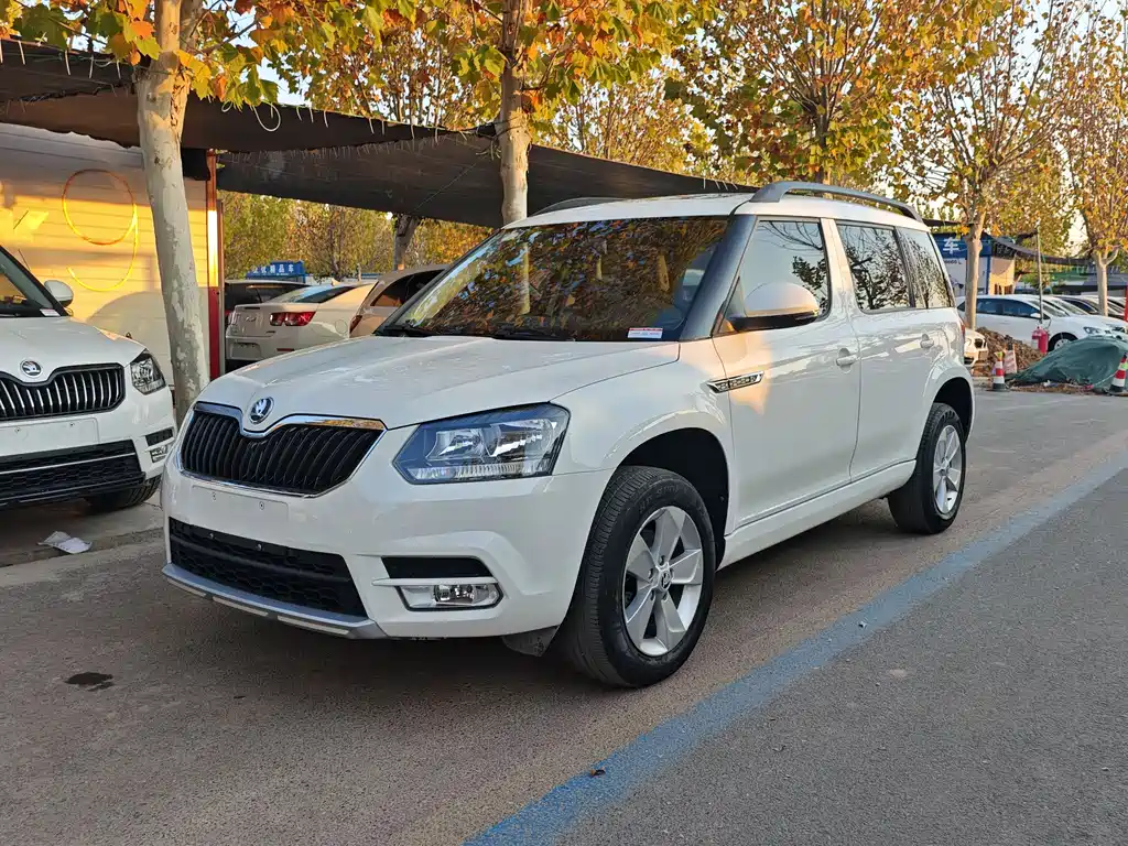 Skoda Yeti 2017 — фото 1