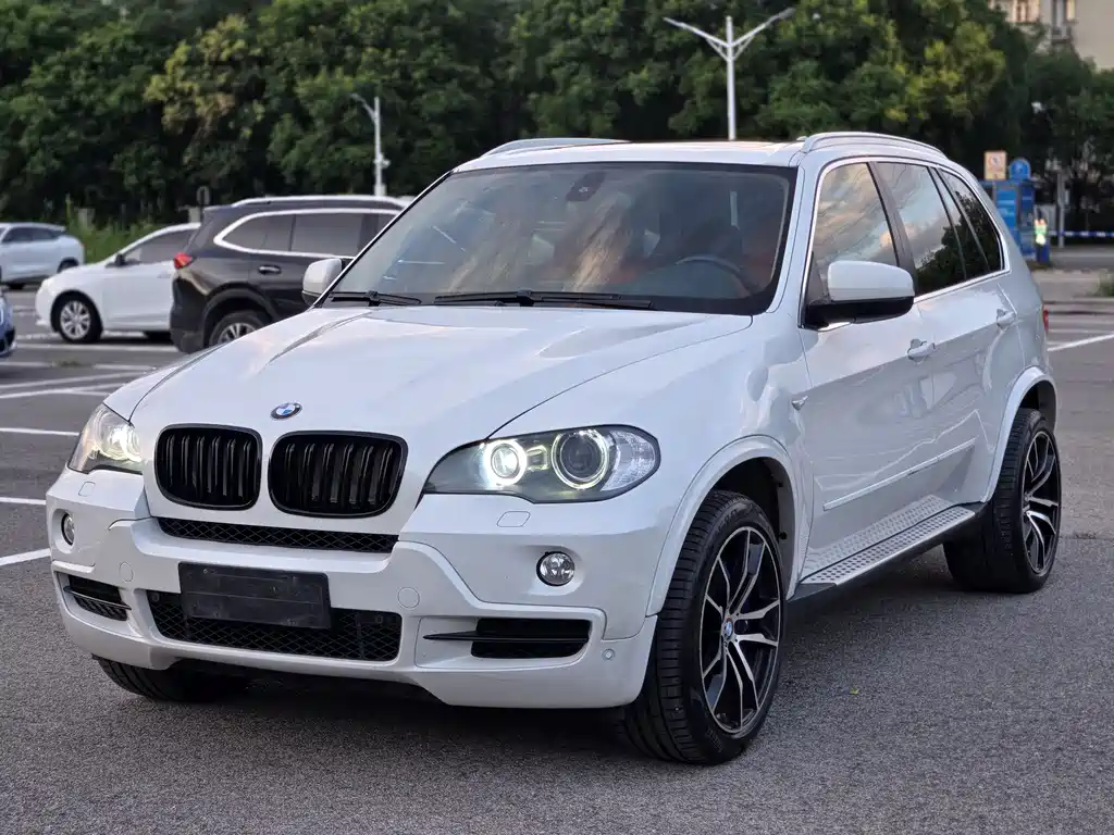 BMW X5 2010 — фото 1