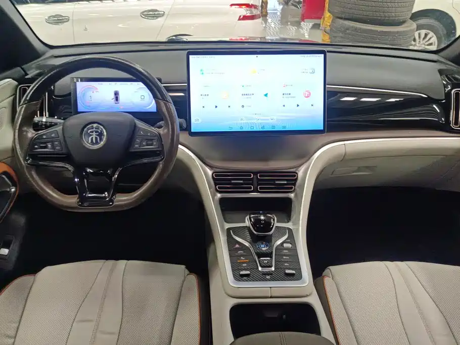 BYD Song Pro New Energy 2023 — фото 12