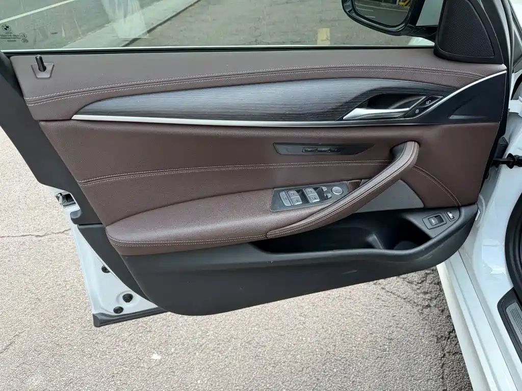 BMW 5 Series New Energy 2022