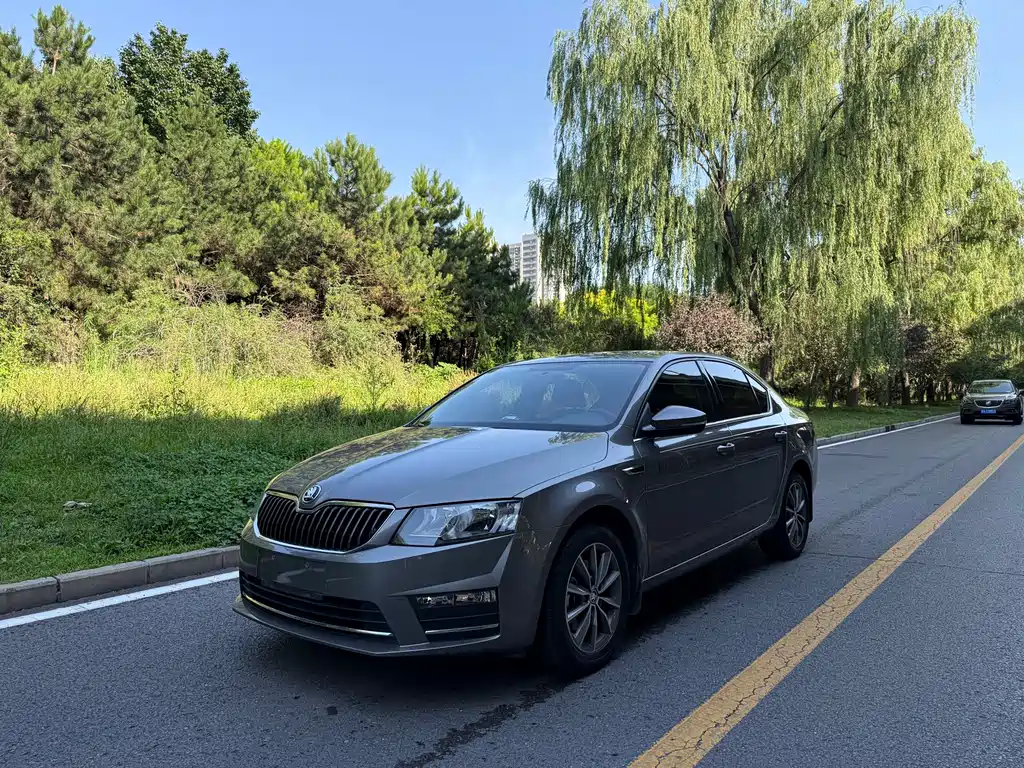 Skoda Octavia 2017 — фото 1