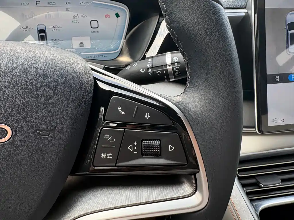 BYD Song PLUS New Energy 2024 — фото 10